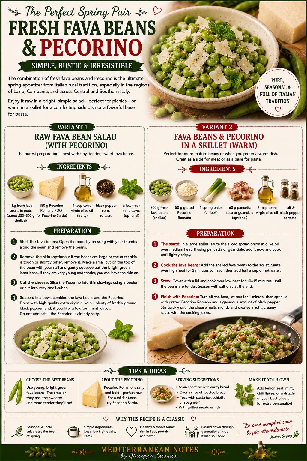 Fresh fava beans and Pecorino infographic — raw salad and warm skillet versions