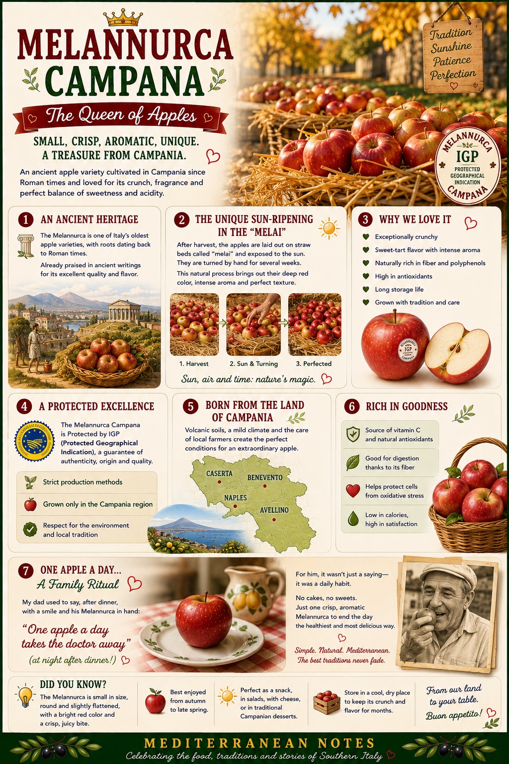 Melannurca Campana -- la regina delle mele, piccola croccante aromatica, i melai, Mediterranean Notes
